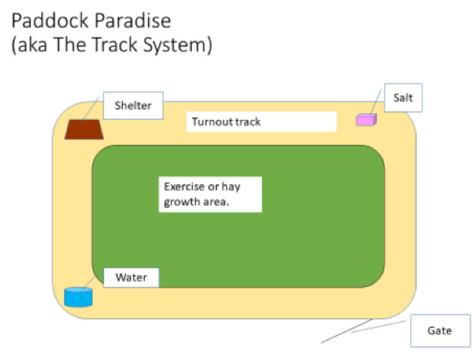 Paddock Paradise