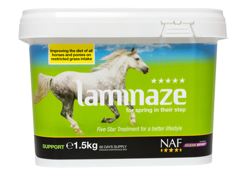 Laminaze