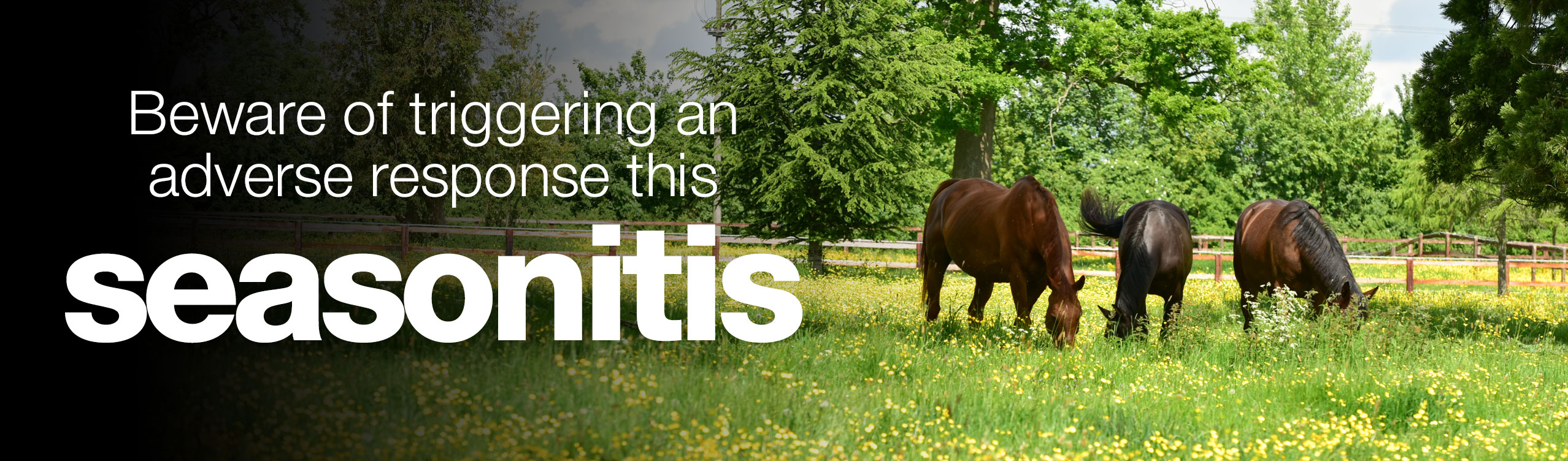 Seasonitis