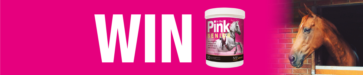 Win In The Pink Senior