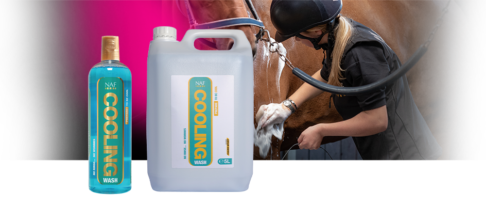 Spoel het zweet en stof uit de vacht van uw paard met deze Cooling Wash