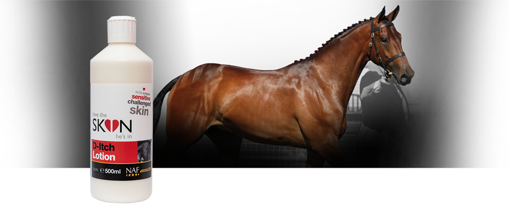 Love the SKIN he’s in D-Itch Lotion is een gemakkelijk toe te passen absorbeerbare lotion die onmisbaar is voor elk paard dat seizoens irritaties heeft.