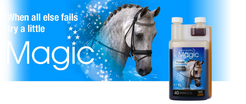 Five Star Magic is een natuurlijk rustgevend middel voor paarden dat zich op een belangrijk punt onderscheidt