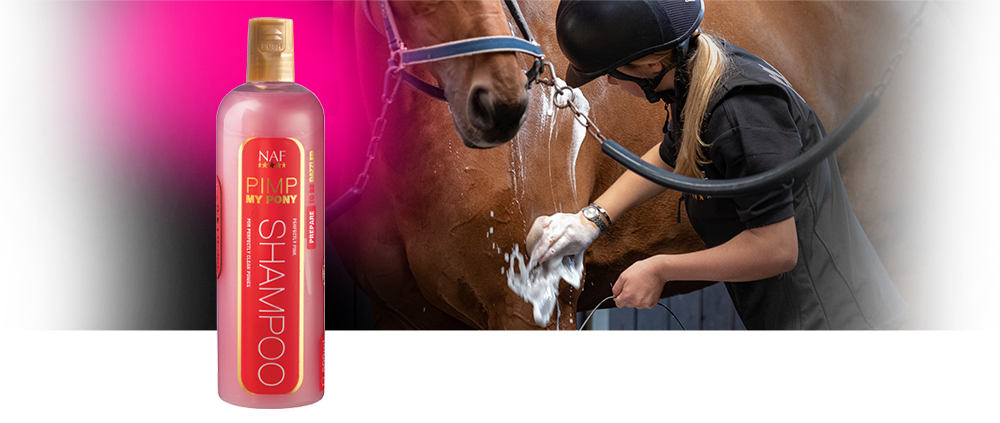 De perfect roze shampoo om vuile pony's super schoon en glimmend te maken