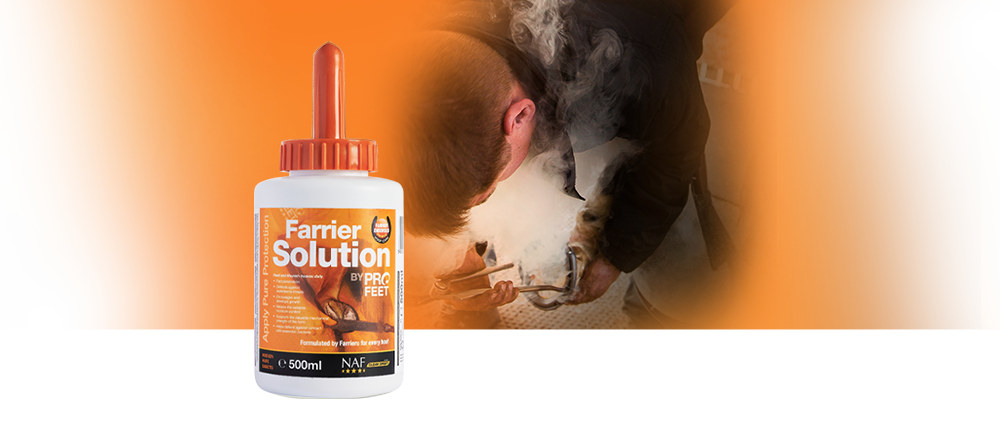 PROFEET Farrier Solution is ideaal voor het behoud van gezonde hoeven en het stimuleren van hoefgroei en een gezonde hoornschoen het hele jaar door.