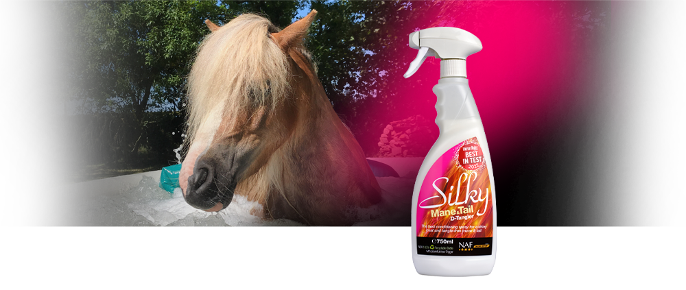 Zorg voor gladde, glanzende, klittenvrije manen en staart van uw paard met onze luxe conditioneringsspray