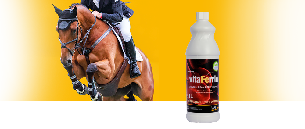 NAF 's veterinaire en nutritionele specialisten hebben vitaFerrin ontwikkeld als een passende en effectieve formule om de prestatieniveaus van paarden te optimaliseren