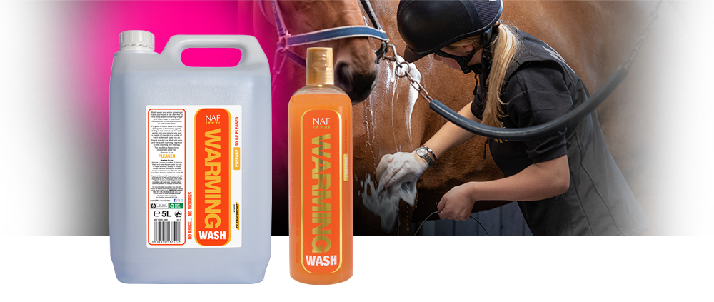 Een verwarmende body wash met Gember en Muskaatsalie om het paard op te warmen en te reinigen na een training op koude winterdagen