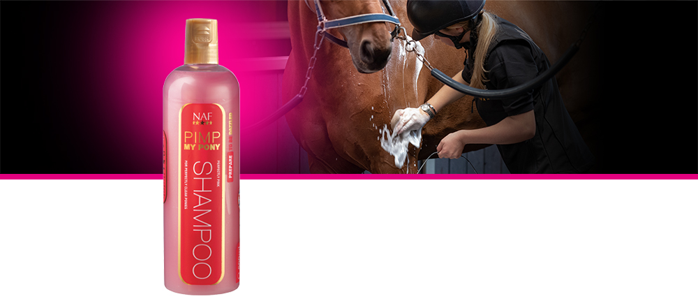 De perfect roze shampoo om vuile pony's super schoon en glimmend te maken