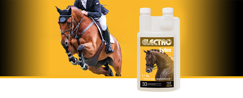 Als een paard zweet, verliest hij niet alleen water, hij verliest ook elektrolyten die essentieel zijn voor het behoud van het evenwicht in het lichaam
