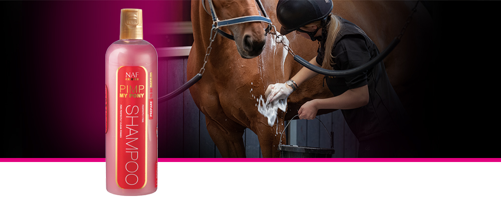 De perfect roze shampoo om vuile pony's super schoon en glimmend te maken