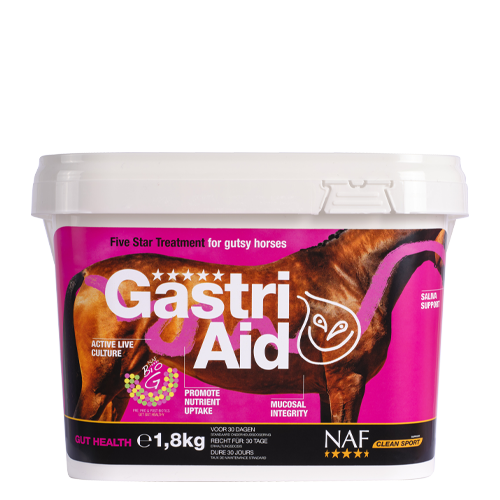 GastriAid