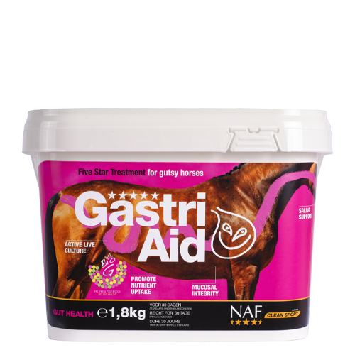 Gastriaid