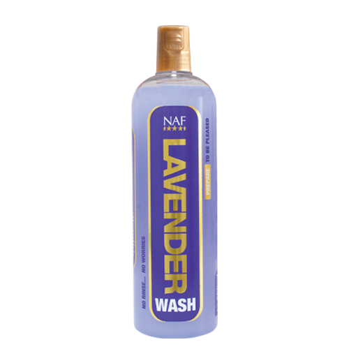 Lavender Wash