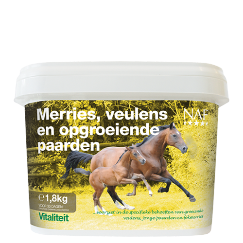 Merries Veulens en Opgroeiende Paarden