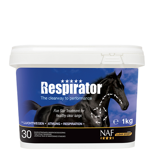 Respirator