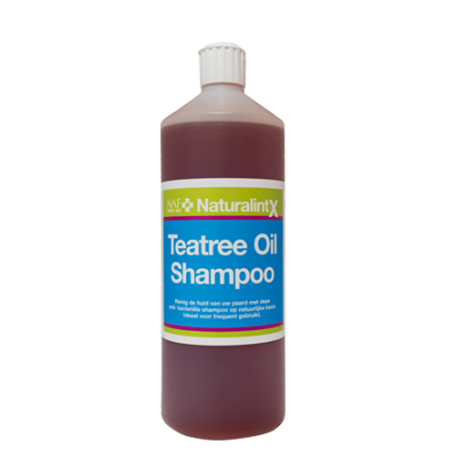 Teatree Oil Shampoo