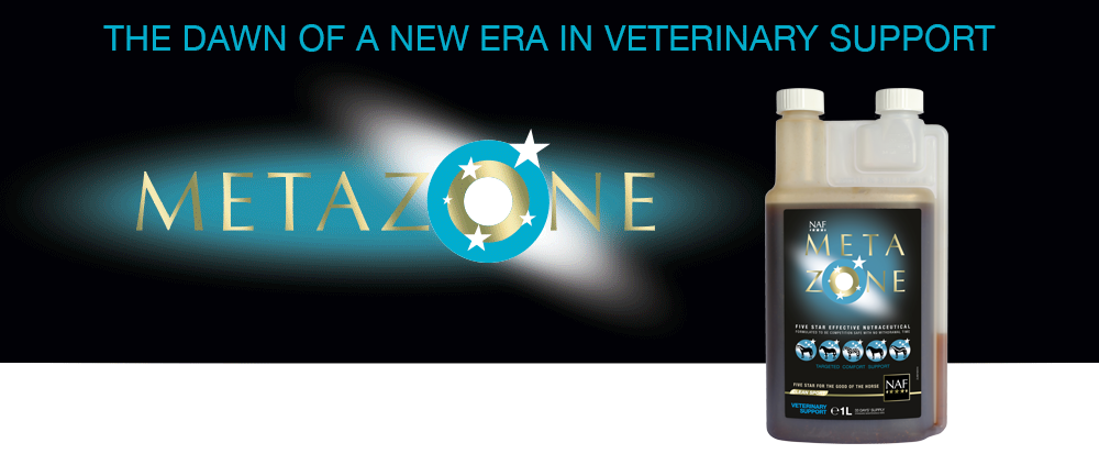 NAF Metazone är en unik sammansättning av naturliga ingredienser, designad av veterinärer för att främja komfort genom hela hästens kropp.