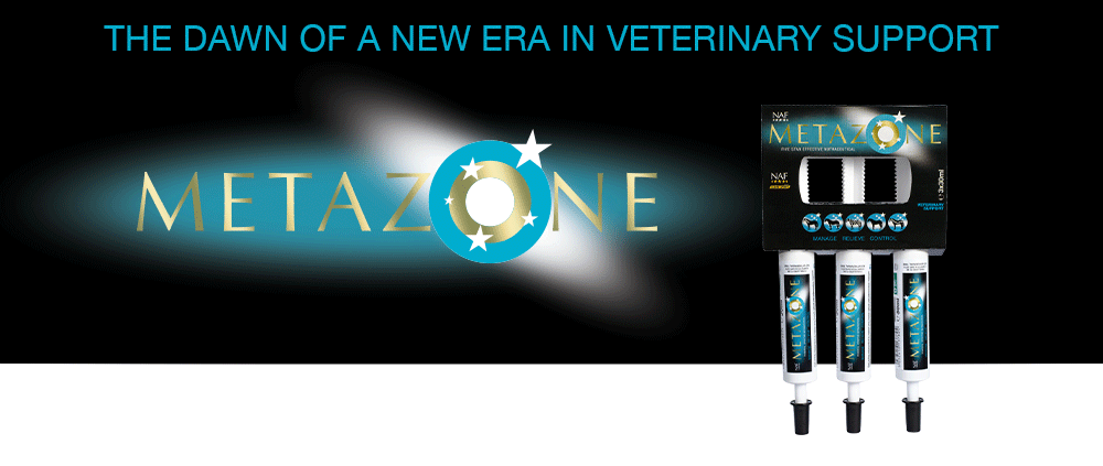 NAF Metazone är en unik sammansättning av naturliga ingredienser, designad av veterinärer för att främja komfort genom hela hästens kropp.
