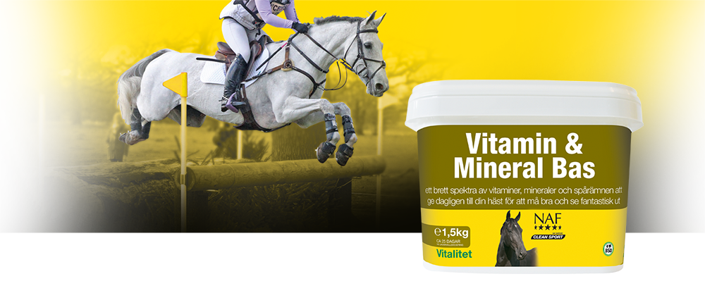 Vitamin & Mineral Bas tillför ett brett spektra av vitaminer och mineraler för hälsa och vitalitet