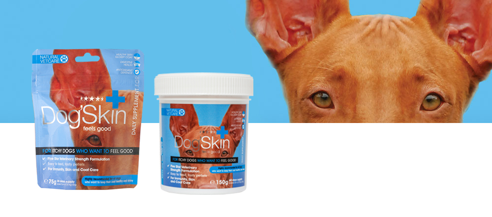 Dog'Skin är en premium tillskott för hundar som kliar sig eller har känslig hud.