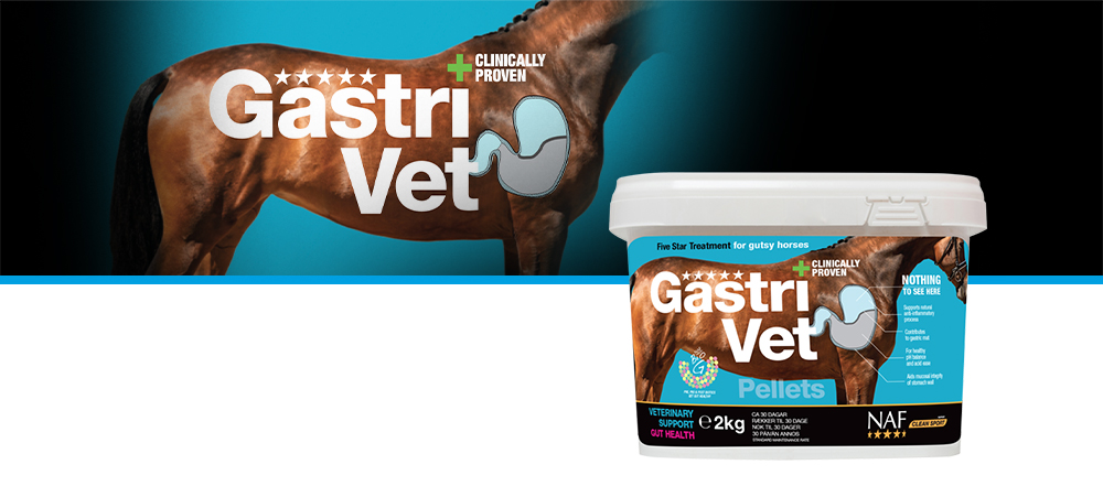 GastriVet lanseras med stöd av publicerade kliniska tester och ger premium support till hästar med stressrelaterade matsmältningsbesvär