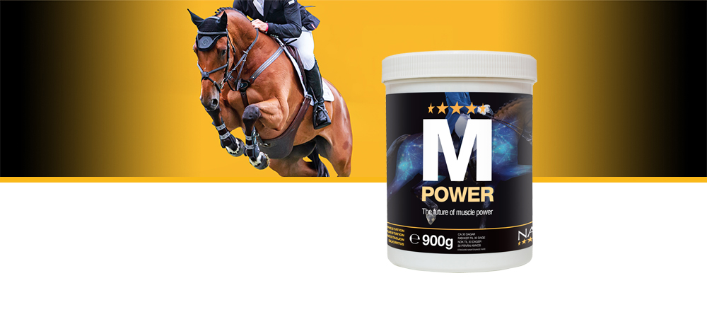 M Power är en unik naturligt utformad formula, rik på aminosyror, som är byggstenen i protein, vilket är viktigt för hälsosam tillväxt av muskelvävnad