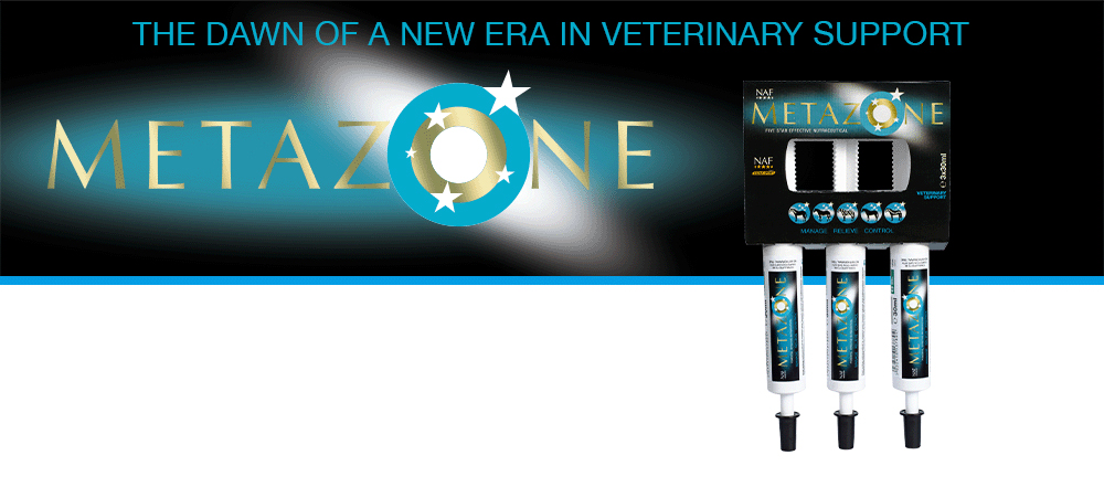 NAF Metazone är en unik sammansättning av naturliga ingredienser, designad av veterinärer för att främja komfort genom hela hästens kropp.