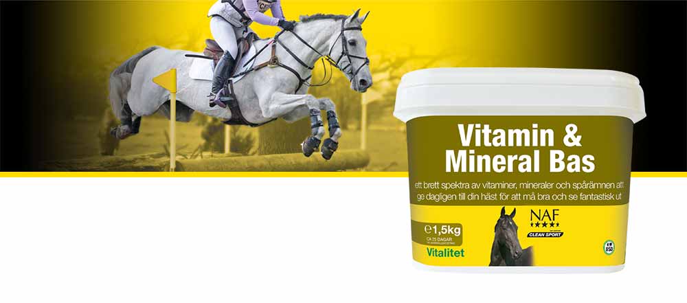 Vitamin & Mineral Bas tillför ett brett spektra av vitaminer och mineraler för hälsa och vitalitet