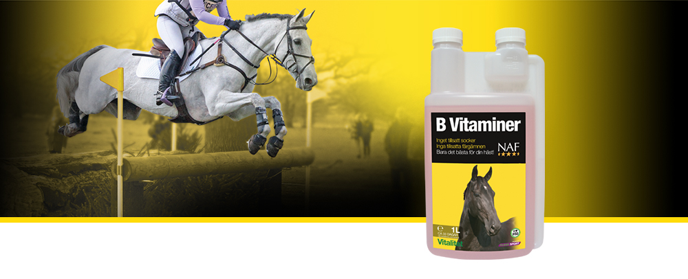 Att tillföra B vitaminer till dieten kan hjälpa många hästar som av olika anledningar har en brist av detta eller under tidsperioden när hästen fäller eller sätter sin päls.