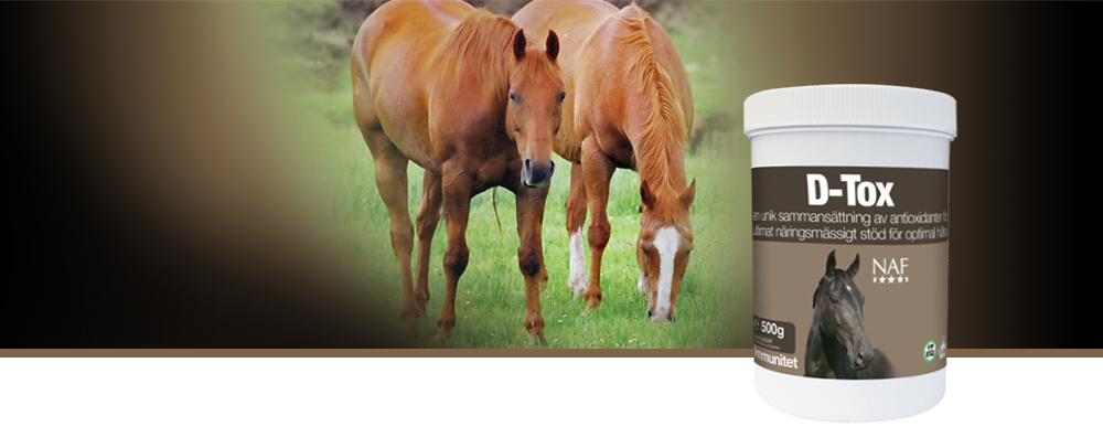 D-Tox innehåller en unik sammansättning av vetenskapligt beprövade, naturliga antioxidanter som skonsamt sköljer ut överskottet av gifter och återskapar hästens naturliga balans