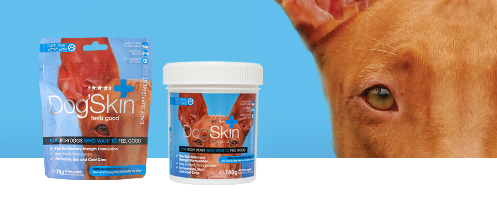 Dog'Skin är en premium tillskott för hundar som kliar sig eller har känslig hud.