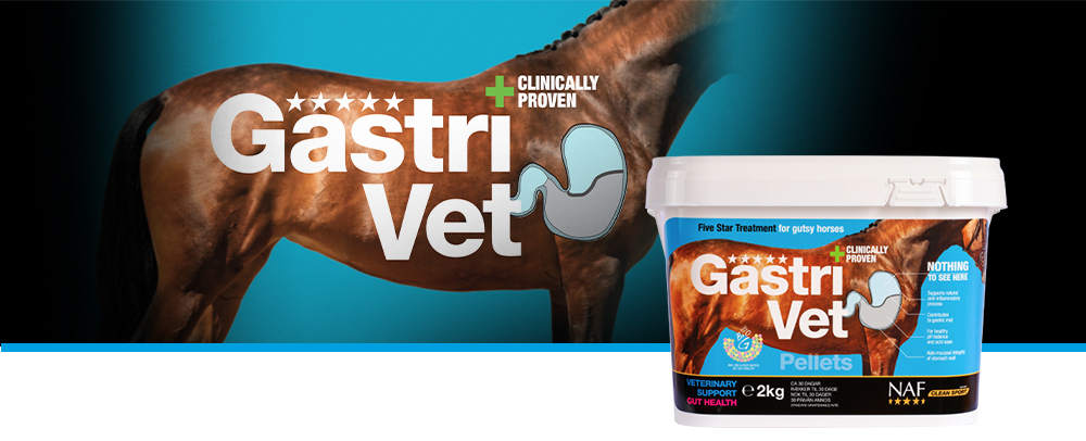 GastriVet lanseras med stöd av publicerade kliniska tester och ger premium support till hästar med stressrelaterade matsmältningsbesvär