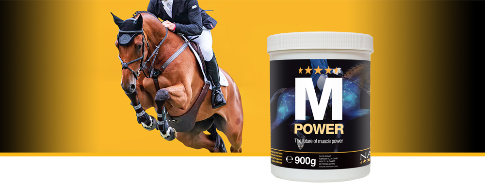 M Power är en unik naturligt utformad formula, rik på aminosyror, som är byggstenen i protein, vilket är viktigt för hälsosam tillväxt av muskelvävnad
