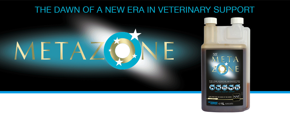 NAF Metazone är en unik sammansättning av naturliga ingredienser, designad av veterinärer för att främja komfort genom hela hästens kropp.