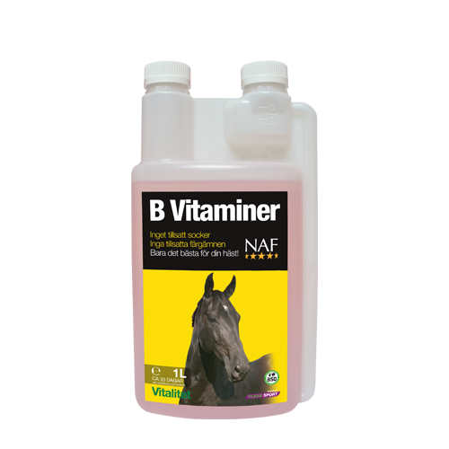 B Vitaminer