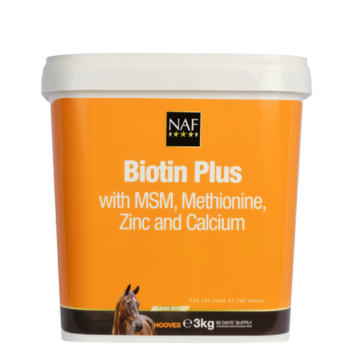 Biotin Plus