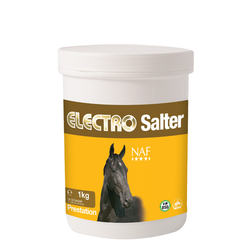 Electro Salter