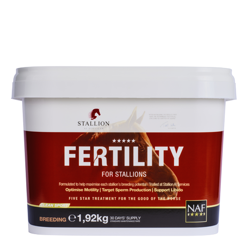 Fertility for Stallions