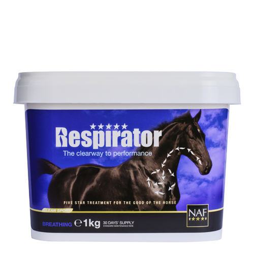 Respirator