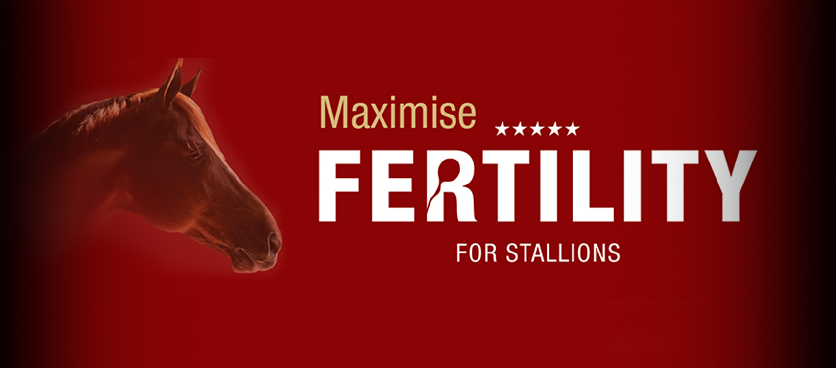 Breeding, formulated to help maximise each stallion’s breeding potential