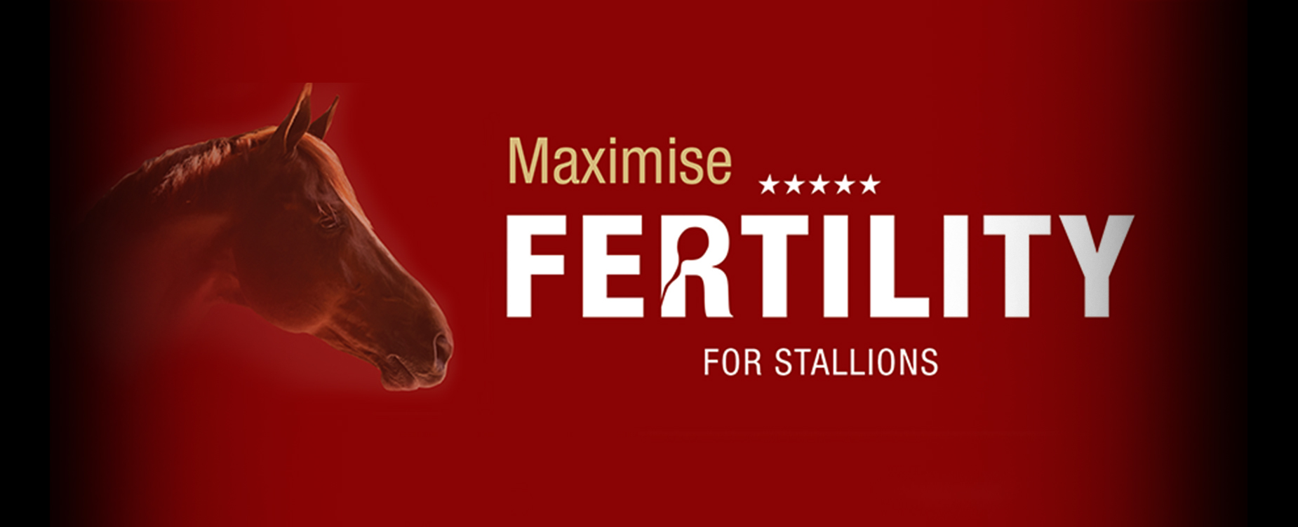 Breeding, formulated to help maximise each stallion’s breeding potential