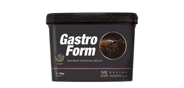 Gastro Form