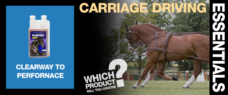 carriage-driving Essentials