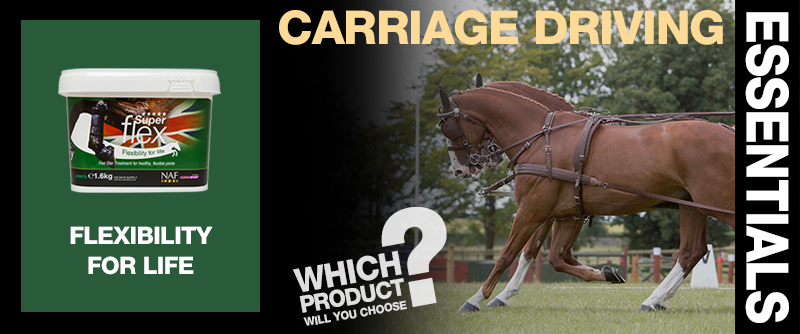 carriage-driving Essentials