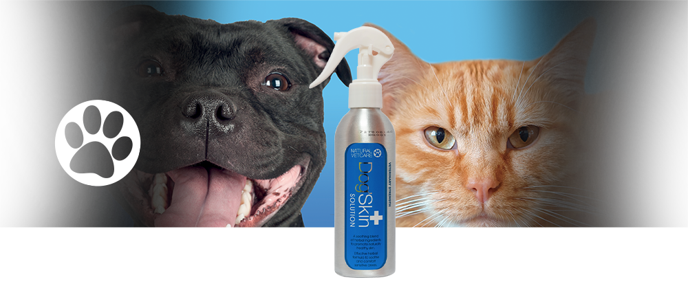 Veterinary strength, effective herbal formula to soothe and comfort sensitive areas of skin.