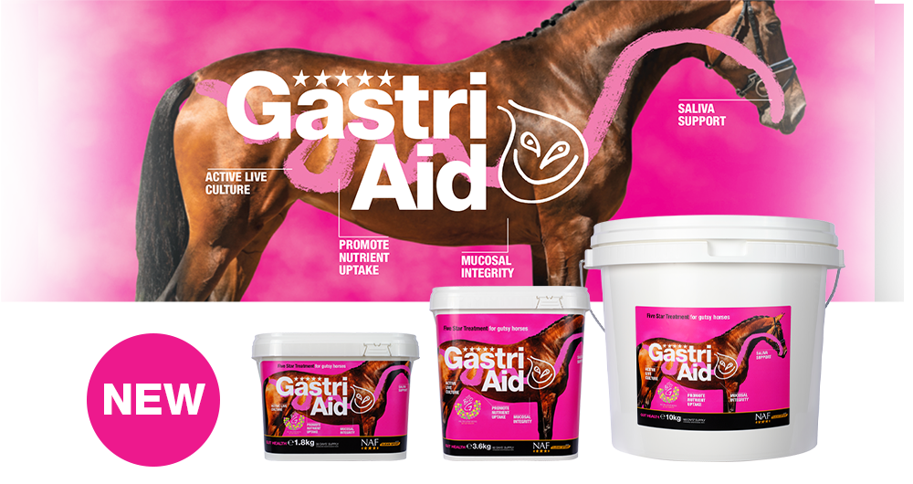 Soothes and maintains a healthy digestive system in all horses