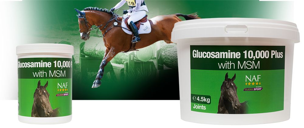 Glucosamine with added MSM for the everyday maintenance of healthy joints