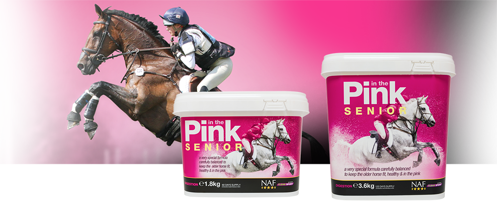 Specially formulated to meet the nutritional needs of the older horse
