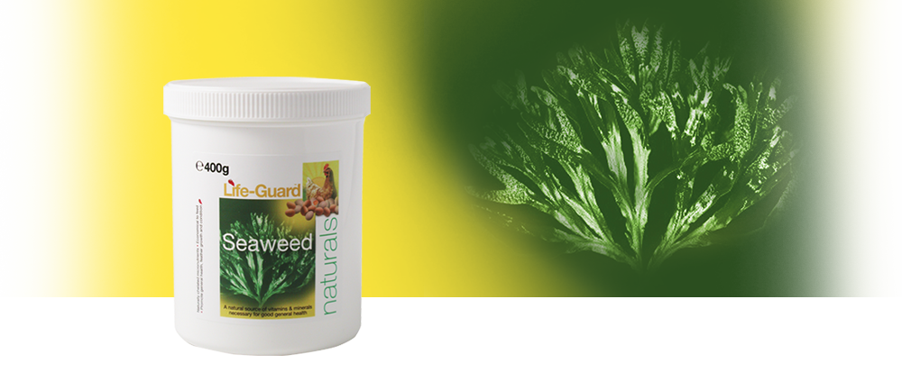 A natural source for a full range of vitamins & minerals.